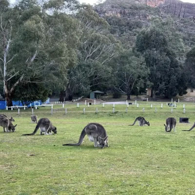 grampians day tour