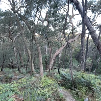 grampians day trip from melbourne