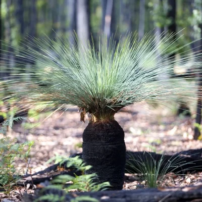 grampians hiking tour