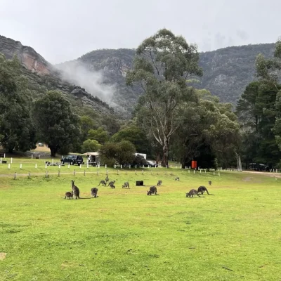 grampians melbourne
