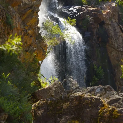 grampians one day tour