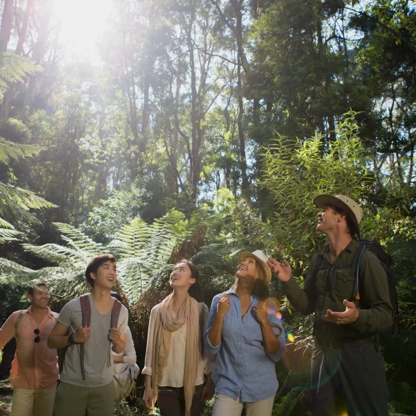 great ocean road 2 day itinerary
