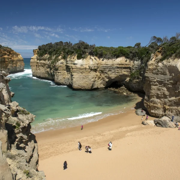 great ocean road and phillip island 2 day tour