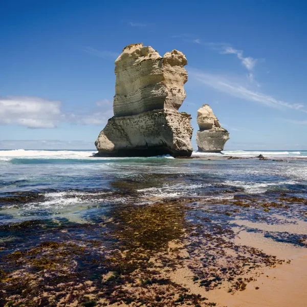 great ocean road day tour deals