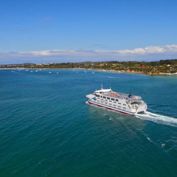 great ocean road day tour deals