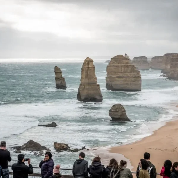 great ocean road day trips