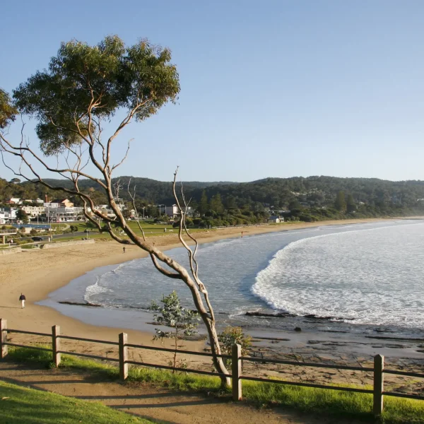 great ocean road melbourne to adelaide