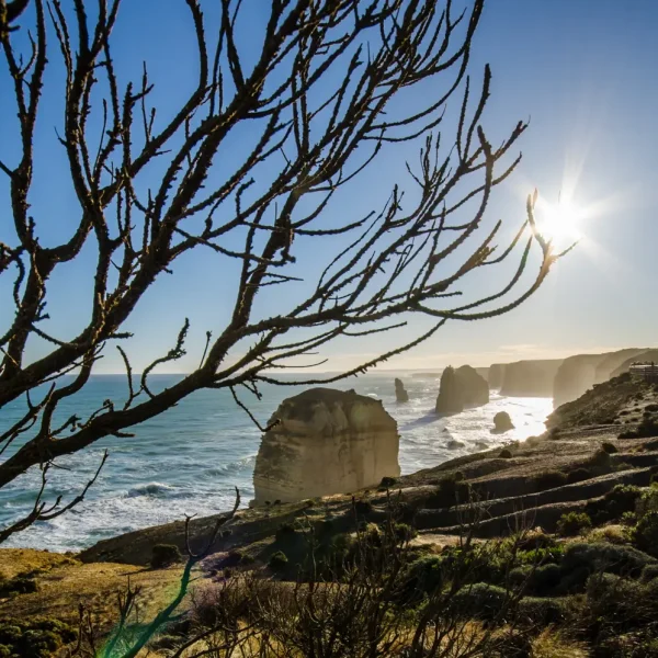 great ocean road one day tour