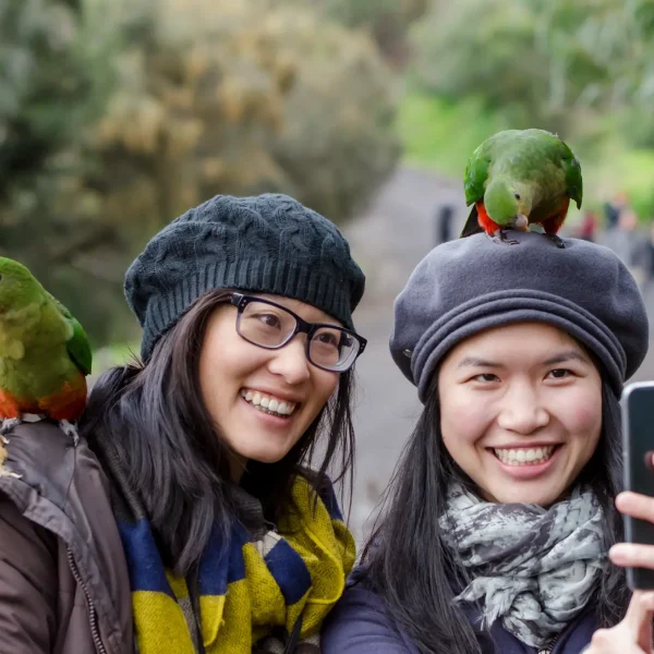 great ocean road private tour