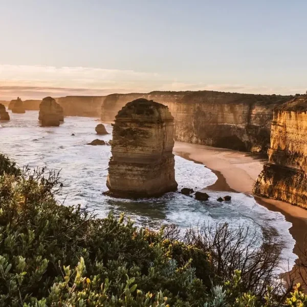 great ocean road tour