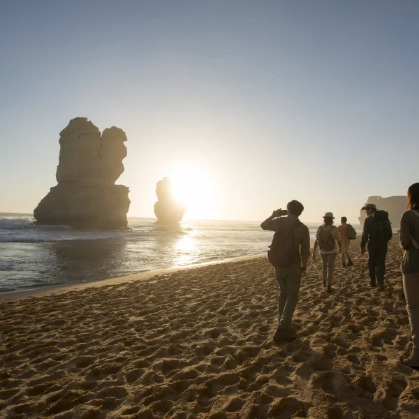 great ocean road tour