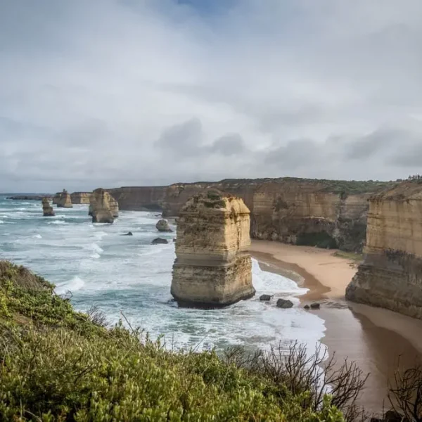 great ocean road tour
