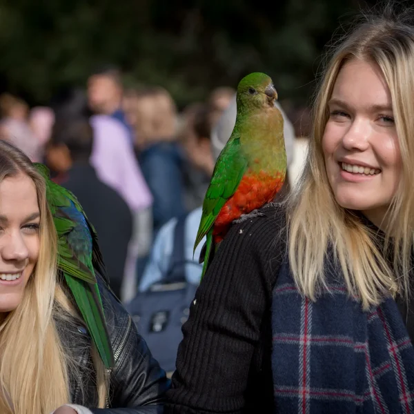 great ocean road tour tripadvisor