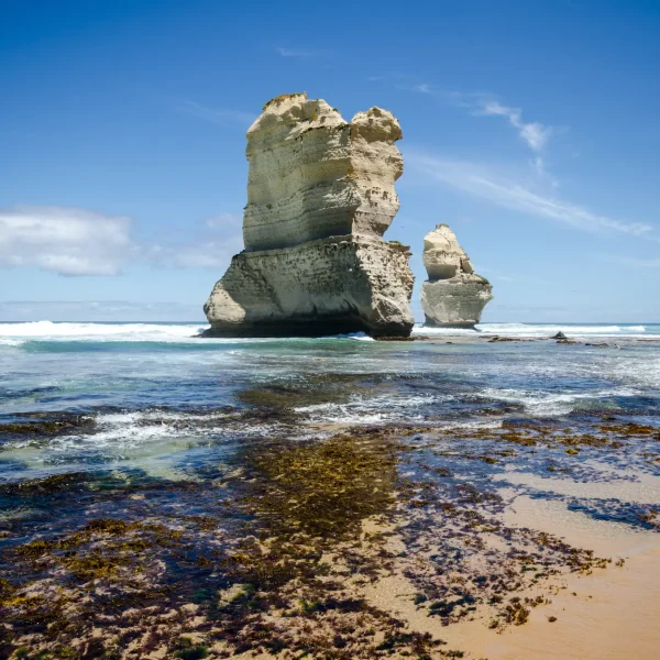 great ocean road tours tripadvisor