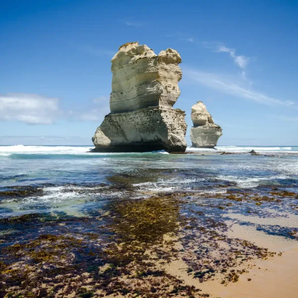 great ocean road tours tripadvisor