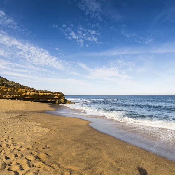 great ocean road trip from melbourne