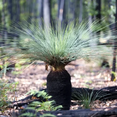 guided tours grampians