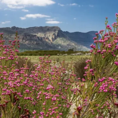 national parks grampians