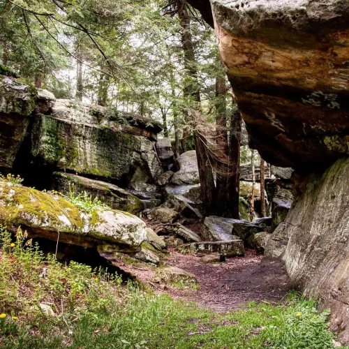 natural landscape