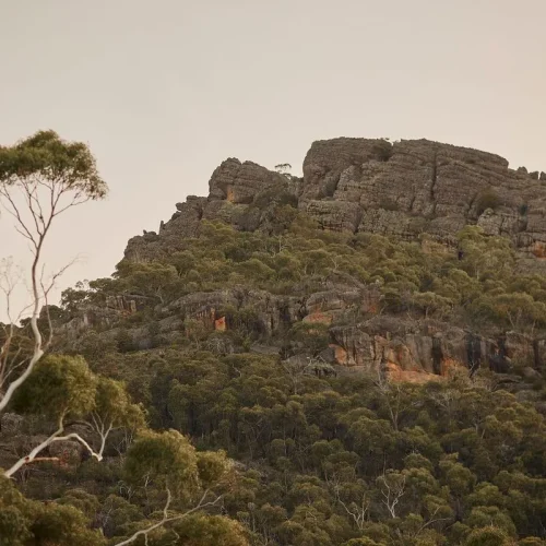 natural surrounds