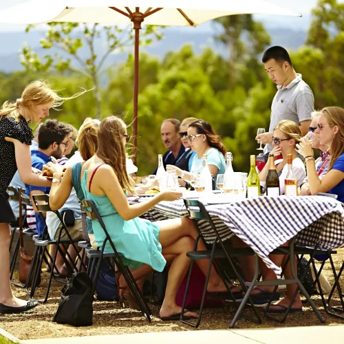 one day winery