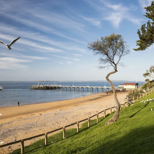 philip island tours