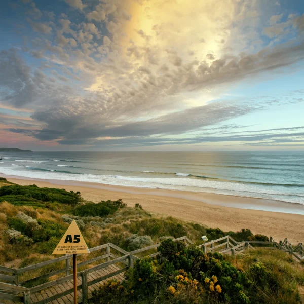 phillip island to great ocean road
