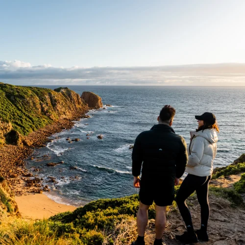 phillip island tour deals