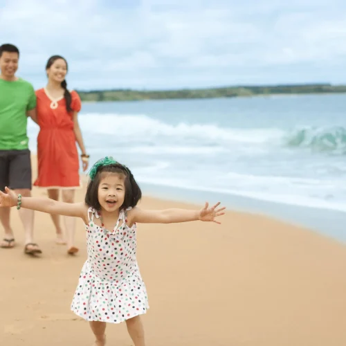 phillip island tour from melbourne