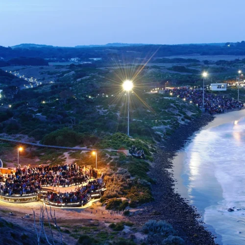 phillip island tours
