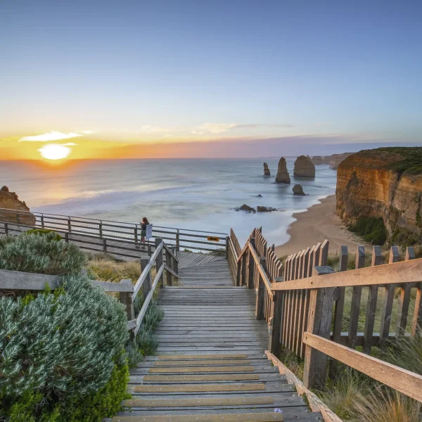 reverse great ocean road tour