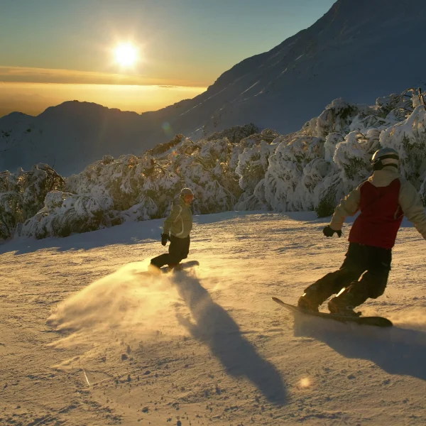 snow tours from melbourne