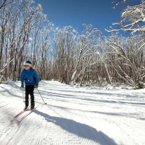 snow tours