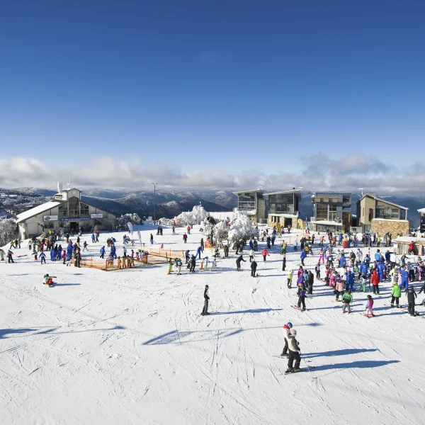 snowy mountain 1 day tour