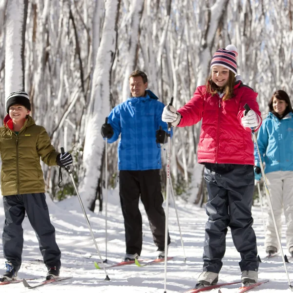 snowy mountain tour package