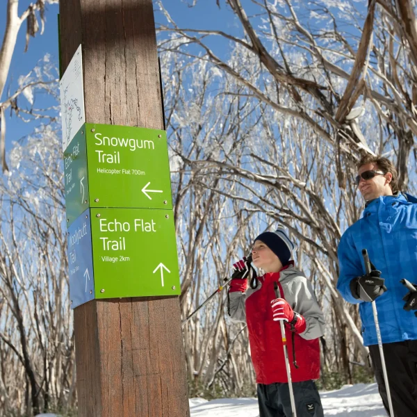 snowy mountain tour