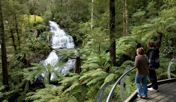 things to do in the otways