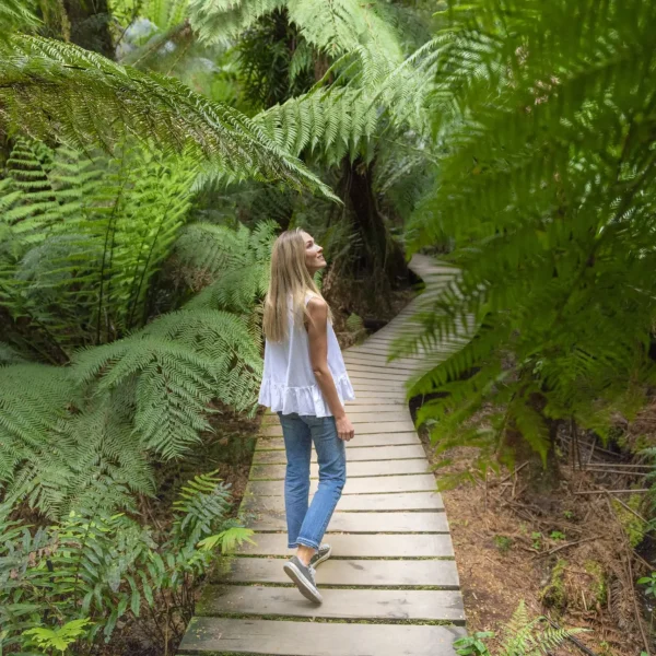 tours to great ocean road