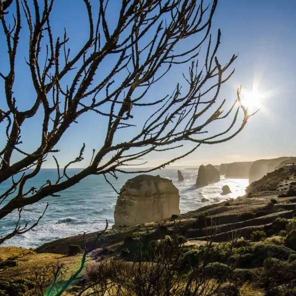 tripadvisor great ocean road tour