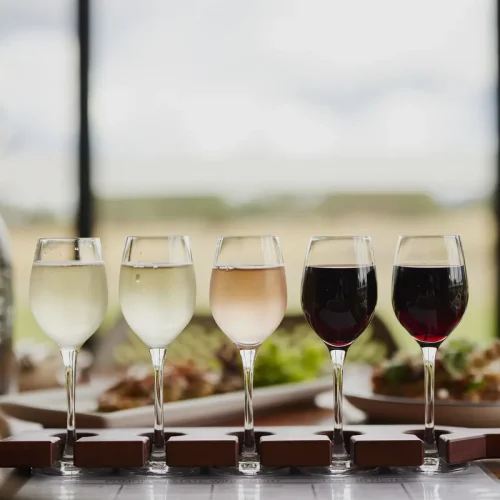 wine expert