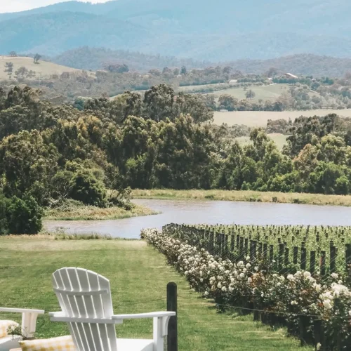 winery tour
