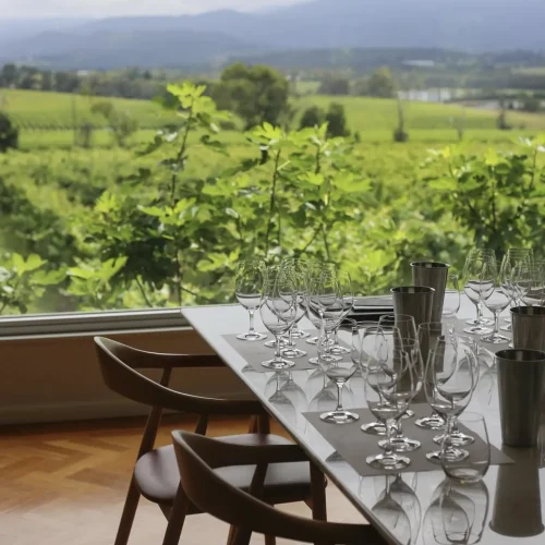 winery tours