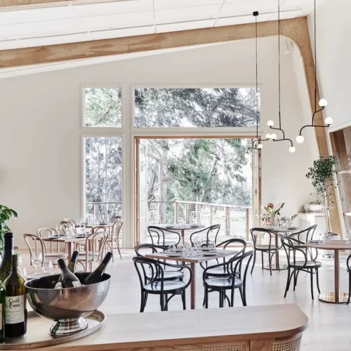 yarra valley wine and wildlife tour
