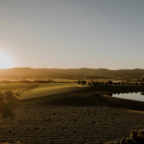 yarra valley wine tasting tour