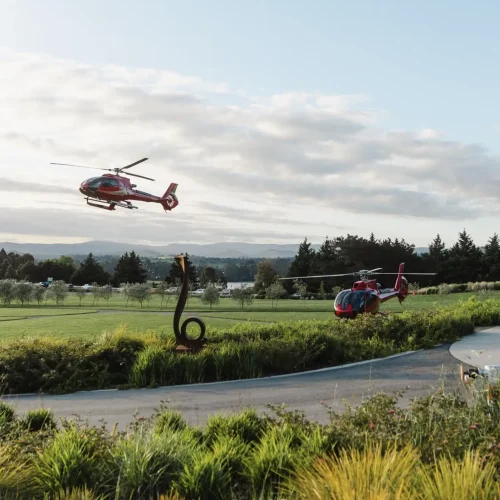 yarra valley wine tour