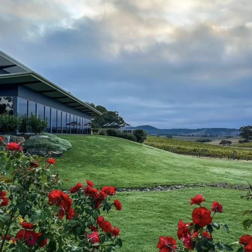yarra valley winery tours