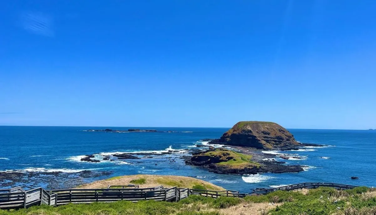 fun things to do in phillip island