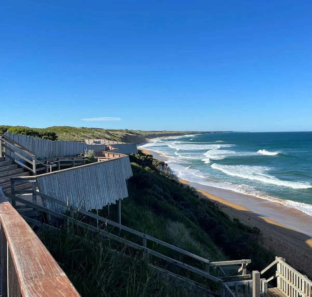 great ocean road sightseeing
