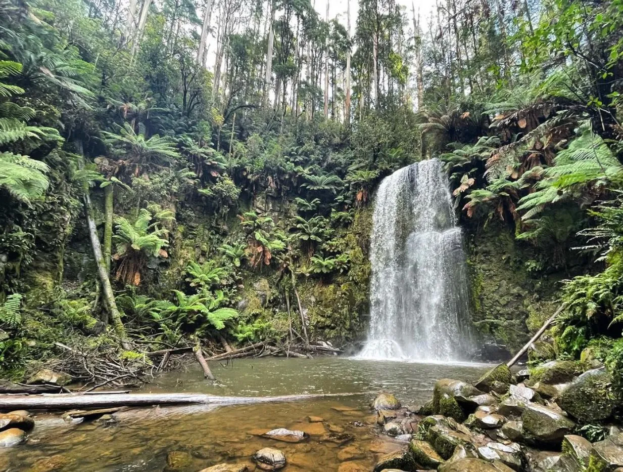 great otway national park things to do