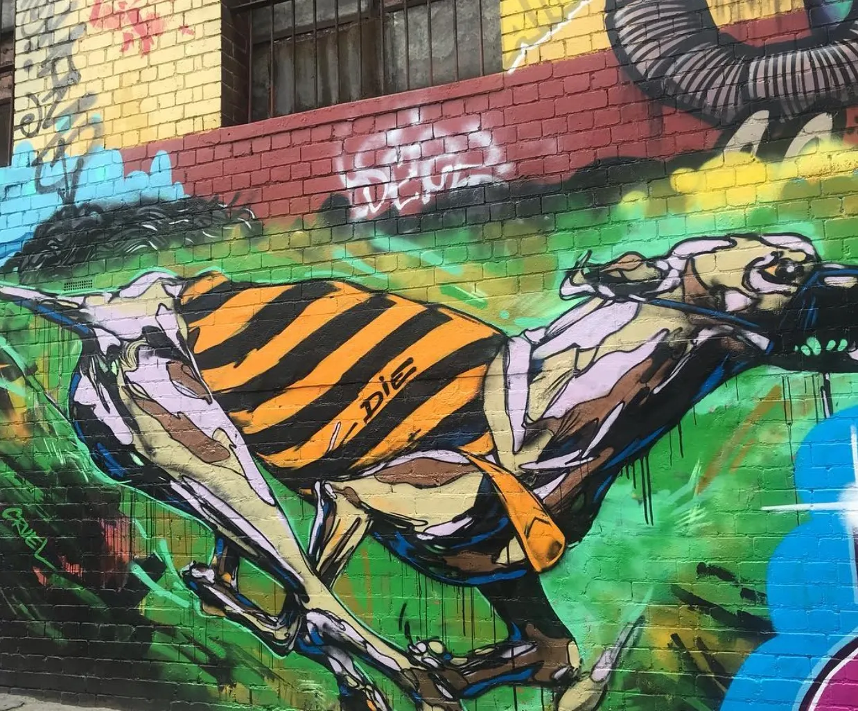 melbourne things to do